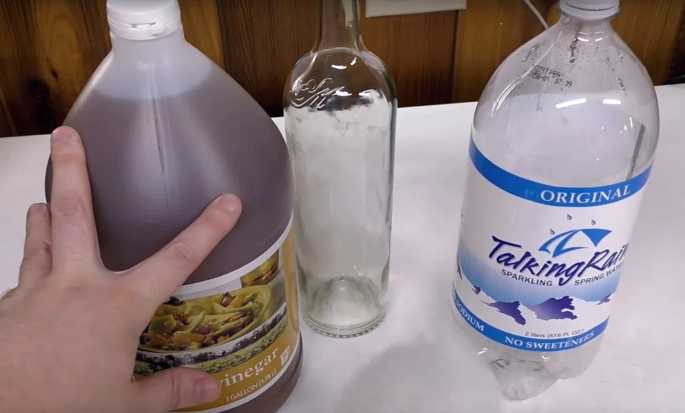 Containers for vinegar eels