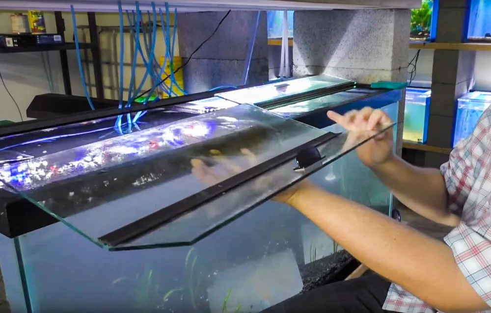 Glass top for aquariums