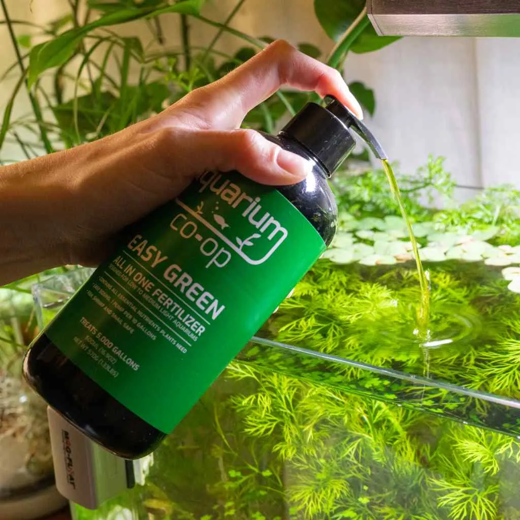 Easy Green fertilizer