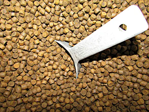 Pakan kering (pelet, pakan serpihan, pelet tenggelam)