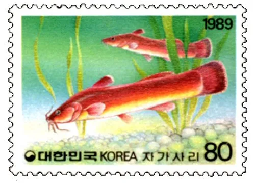 Liobagrus mediadiposalis: Catfish stamp