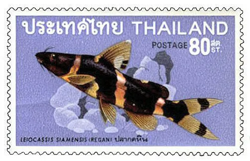 Catfish Stamp: Pseudomystus siamensis