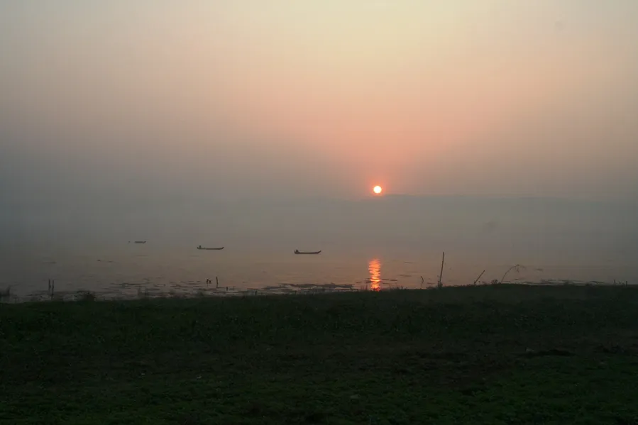 Lake Indawgyi, Myanmar is a natural habitat of this species.