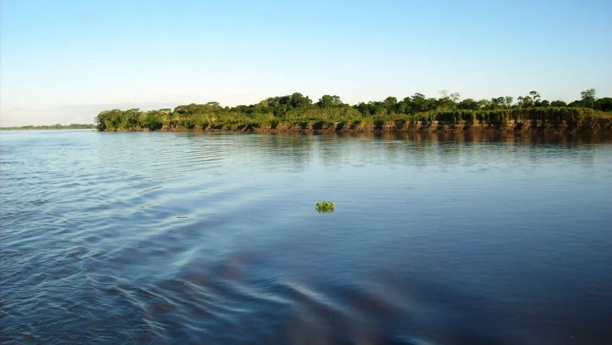 This species was described from the río Ucayali, Peru.