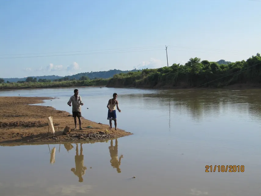 The Ganol river system in Meghalaya state, northeastern India is a natural habitat of B. rostrata sensu stricto.