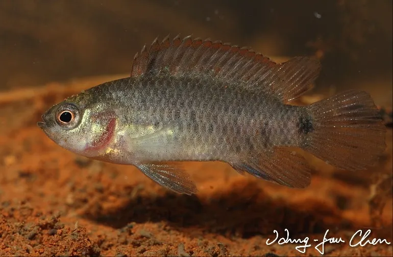 Young male individual.
