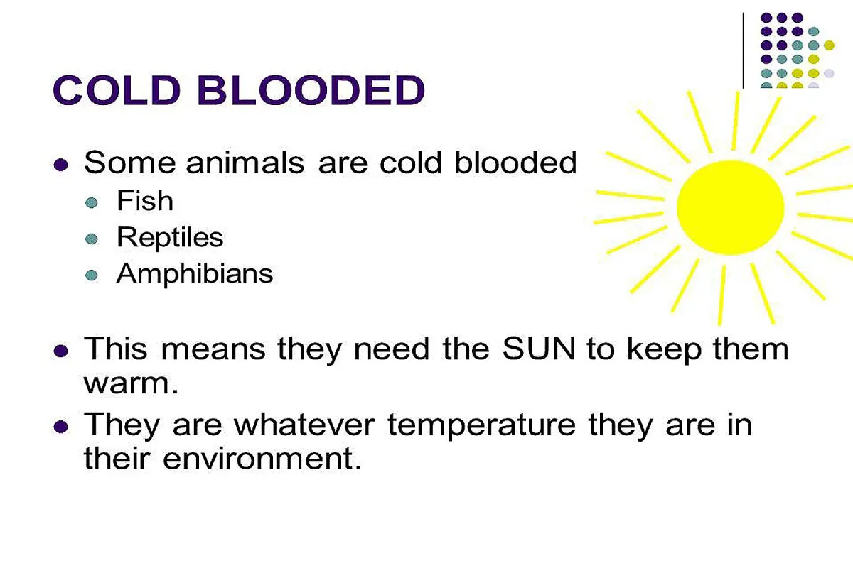 cold blooded fish and temperature