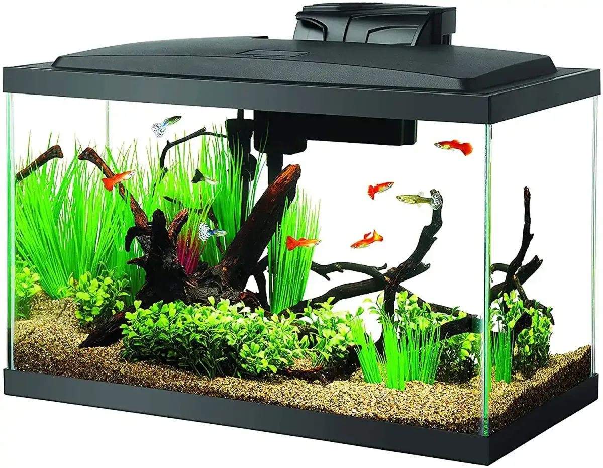 Aqueon Aquarium Fish Tank Starter Kits with LED Lighting